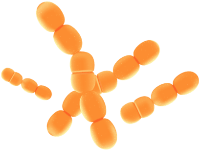 Synaptigen
